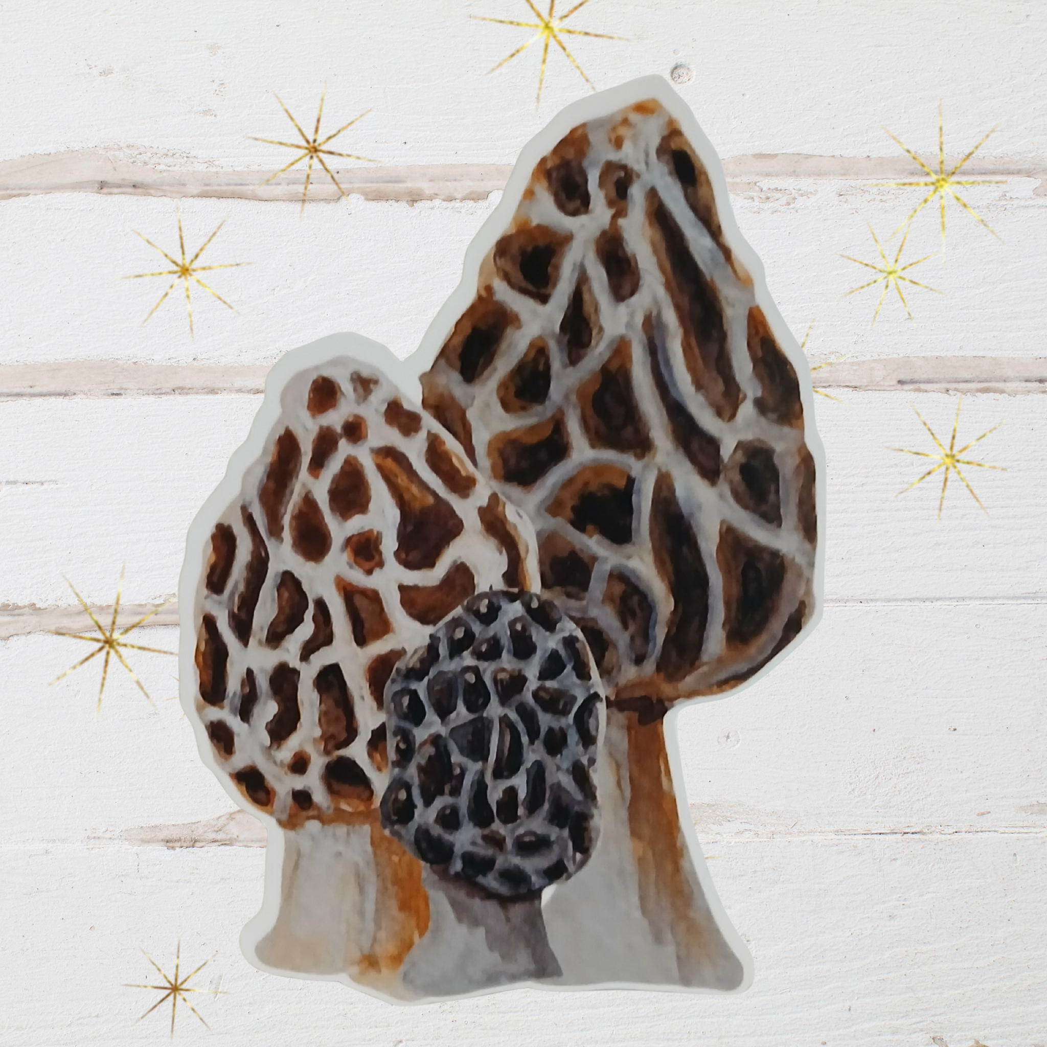 3 Morels Sticker