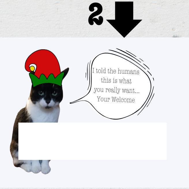 Holiday Money Holder