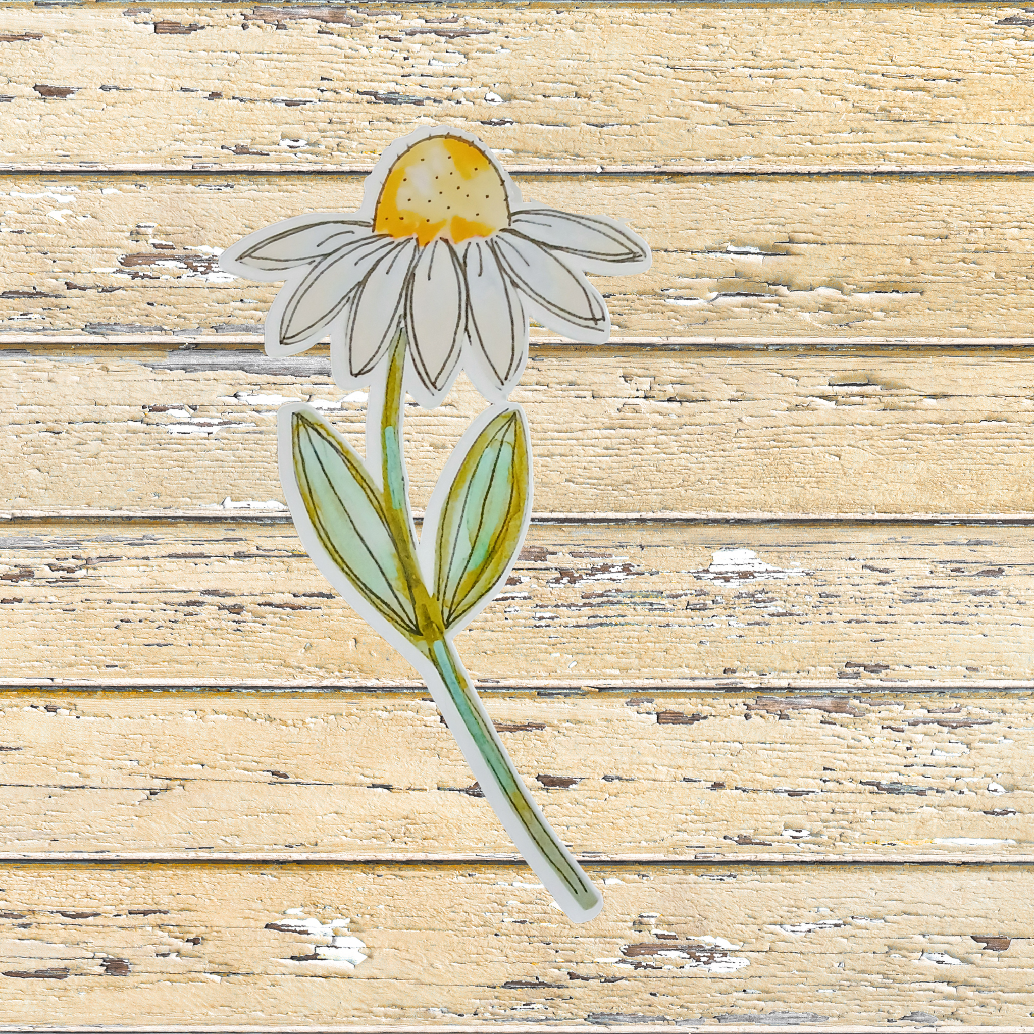 Sticker of a daisy flower on a wooden surface